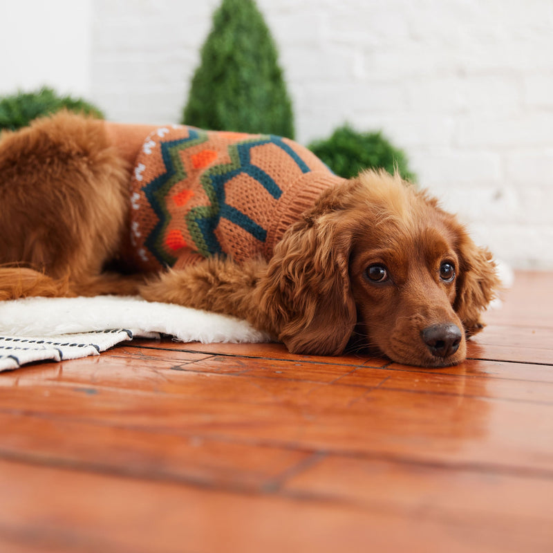 Load image into Gallery viewer, Heritage Sweater - Hazel