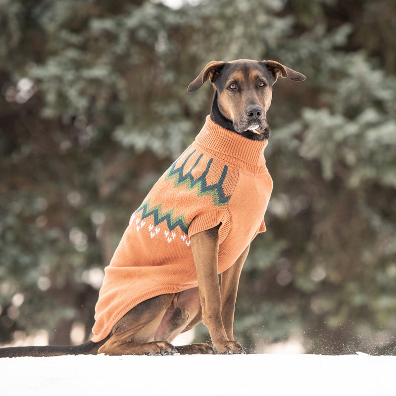 Load image into Gallery viewer, Heritage Sweater - Hazel
