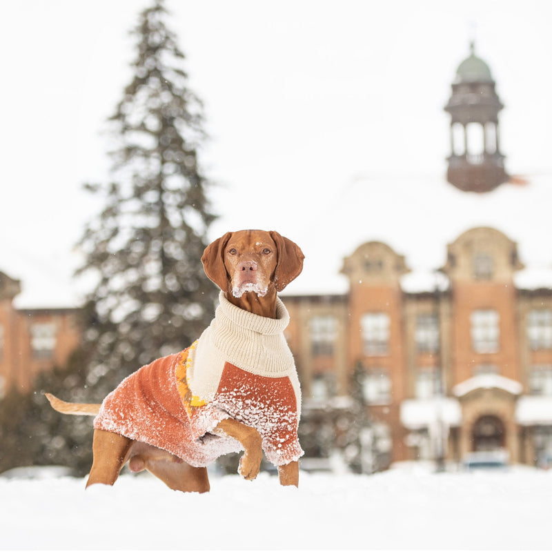 Load image into Gallery viewer, Fireside Sweater - Chili