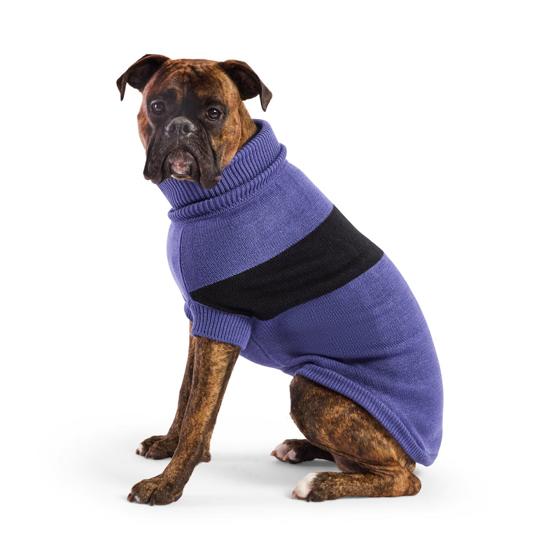 Load image into Gallery viewer, Catalyst Sweater