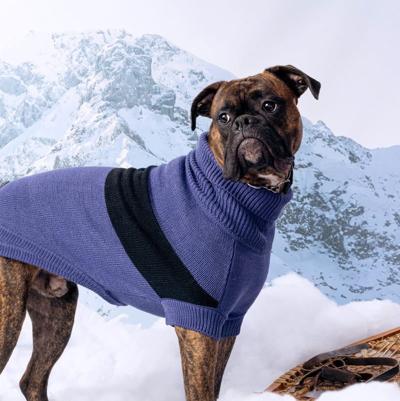 Load image into Gallery viewer, Catalyst Sweater