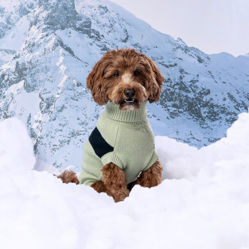 Load image into Gallery viewer, Catalyst Sweater