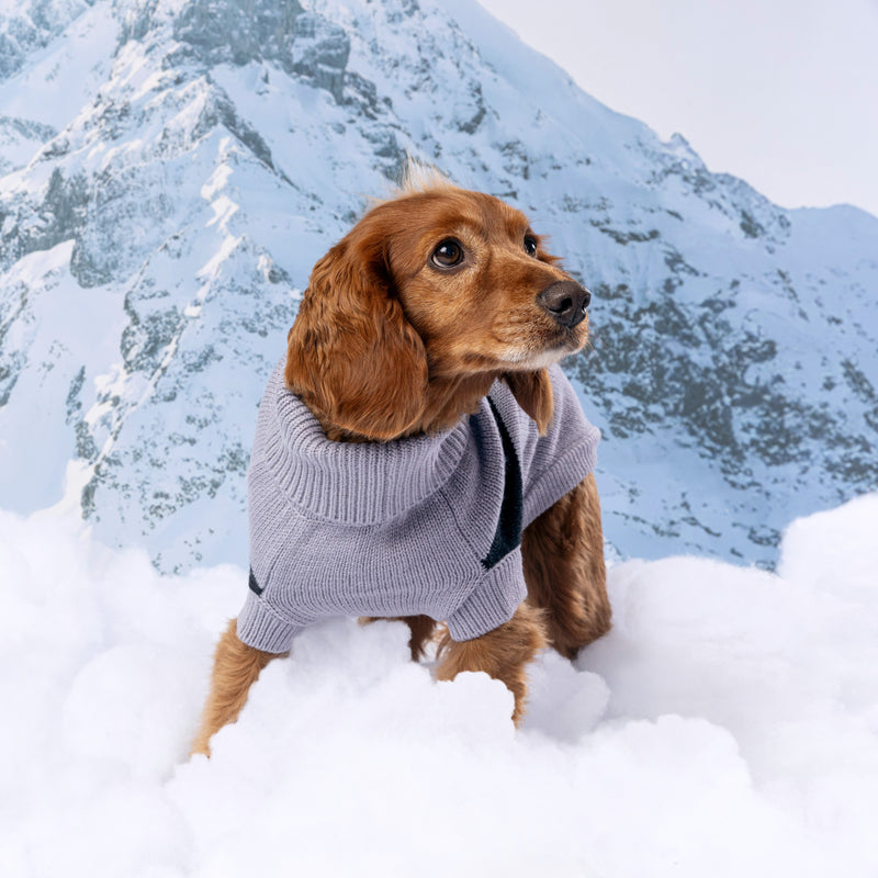 Load image into Gallery viewer, Catalyst Sweater