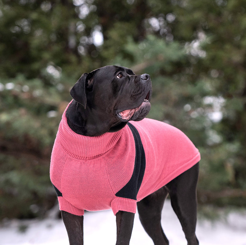 Load image into Gallery viewer, Catalyst Sweater