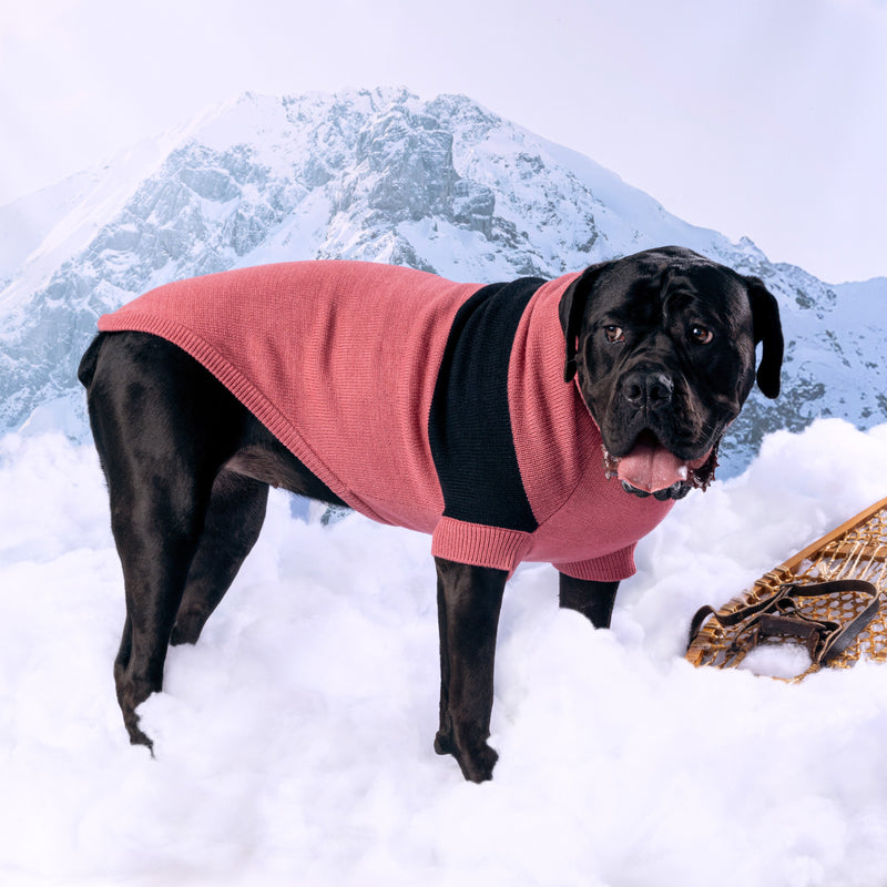 Load image into Gallery viewer, Catalyst Sweater