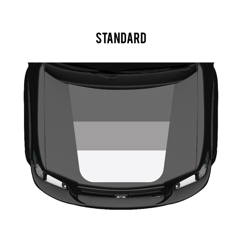 Load image into Gallery viewer, 2001–07 Sequoia Checkered Stripe Kit