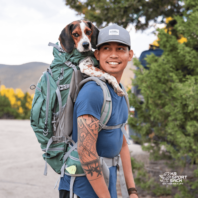 Load image into Gallery viewer, Kolossus | Big Dog Carrier & Backpacking Pack
