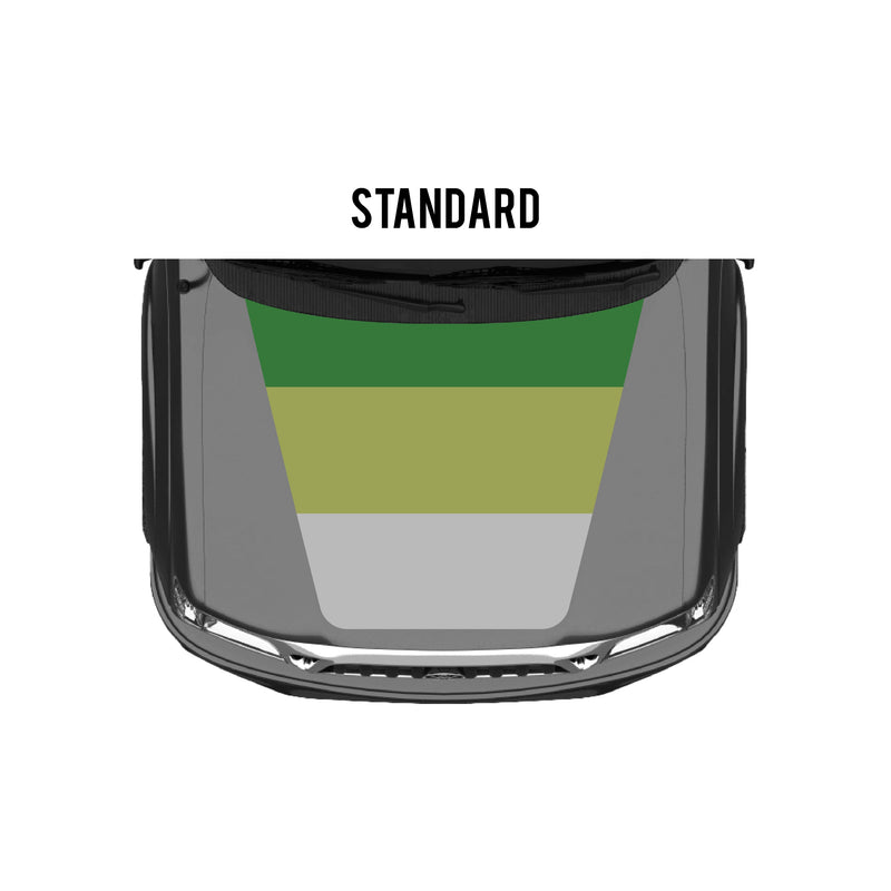 Load image into Gallery viewer, 2001-04 Tacoma Checkered Stripe Kit