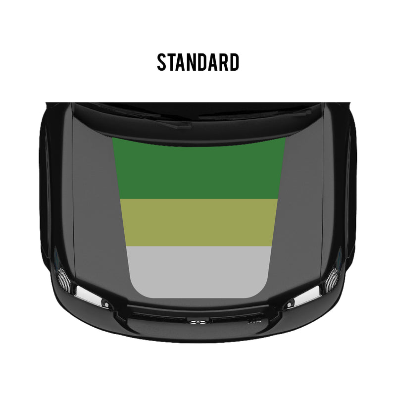 Load image into Gallery viewer, 2001–07 Sequoia Checkered Stripe Kit