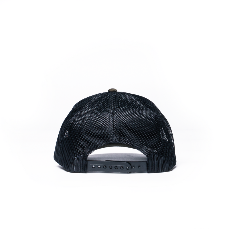 Load image into Gallery viewer, Explore Bear Patch Hat