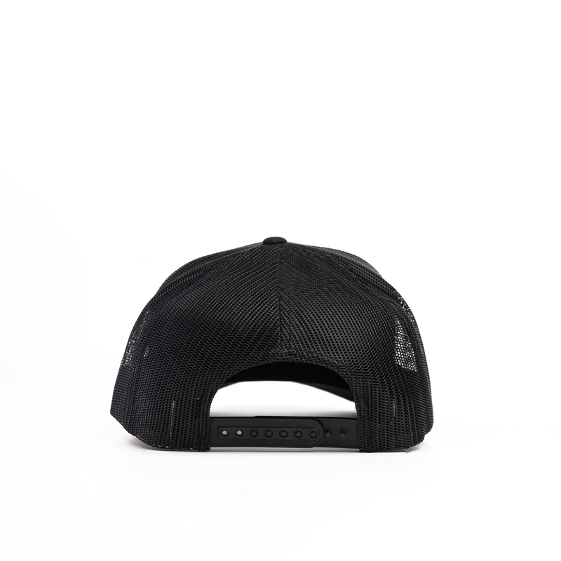 Load image into Gallery viewer, Explore Bear Patch Hat