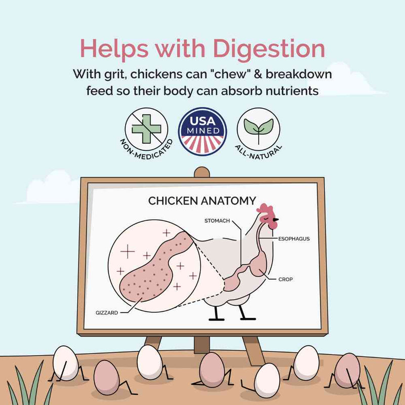 Load image into Gallery viewer, Chicken Grit
