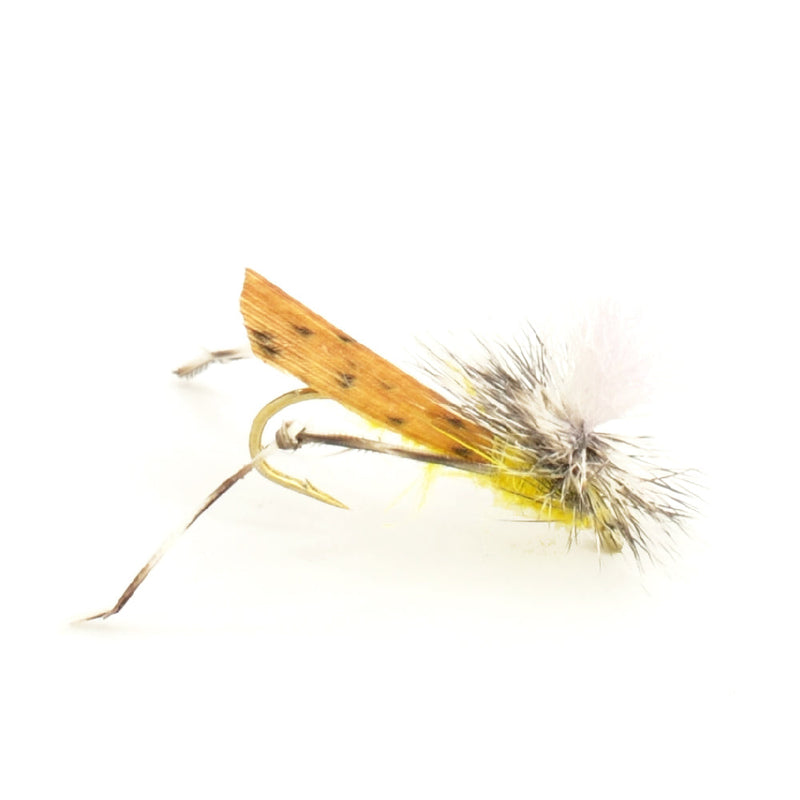 Load image into Gallery viewer, Basics Collection - Terrestrials Fly Assortment - 10 Flies - Sizes 10-14