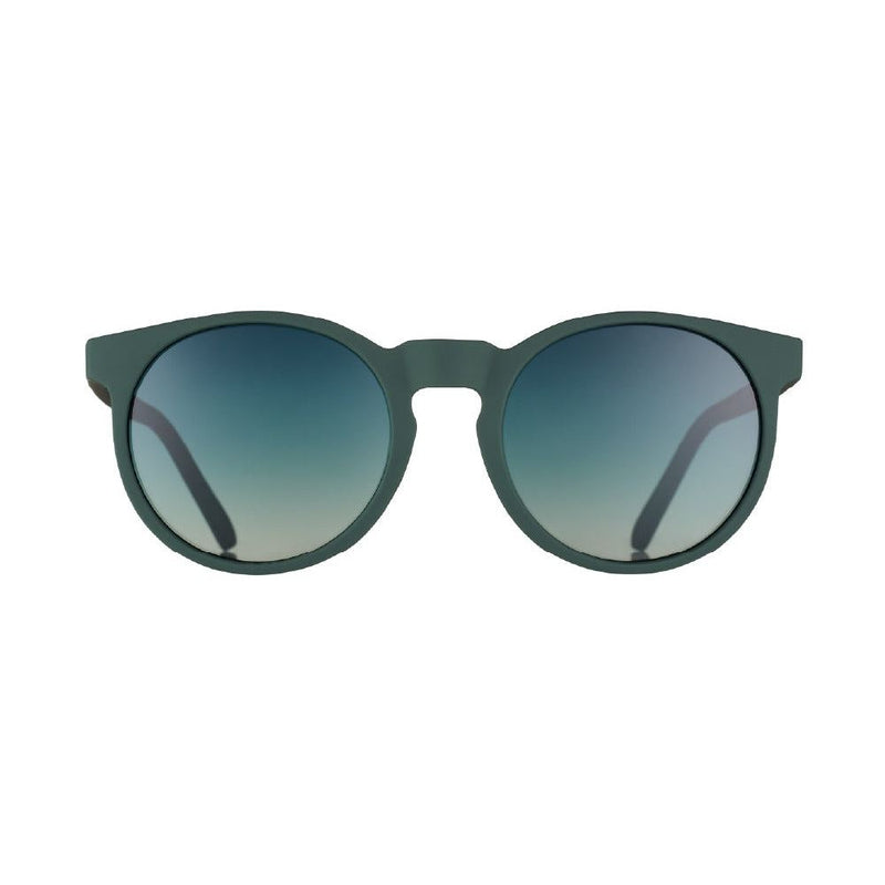 Load image into Gallery viewer, "I Have These On Vinyl, Too” Circle G Polarized Sunglasses