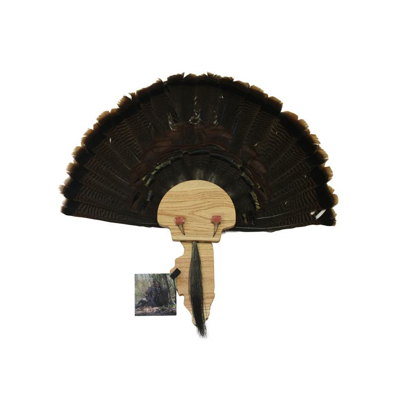 Load image into Gallery viewer, Turkey Mount Plaques with State