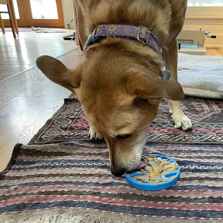 Load image into Gallery viewer, Air Nylon eCoin Lick Mat for Dogs - Durable Enrichment Toy | SodaPup