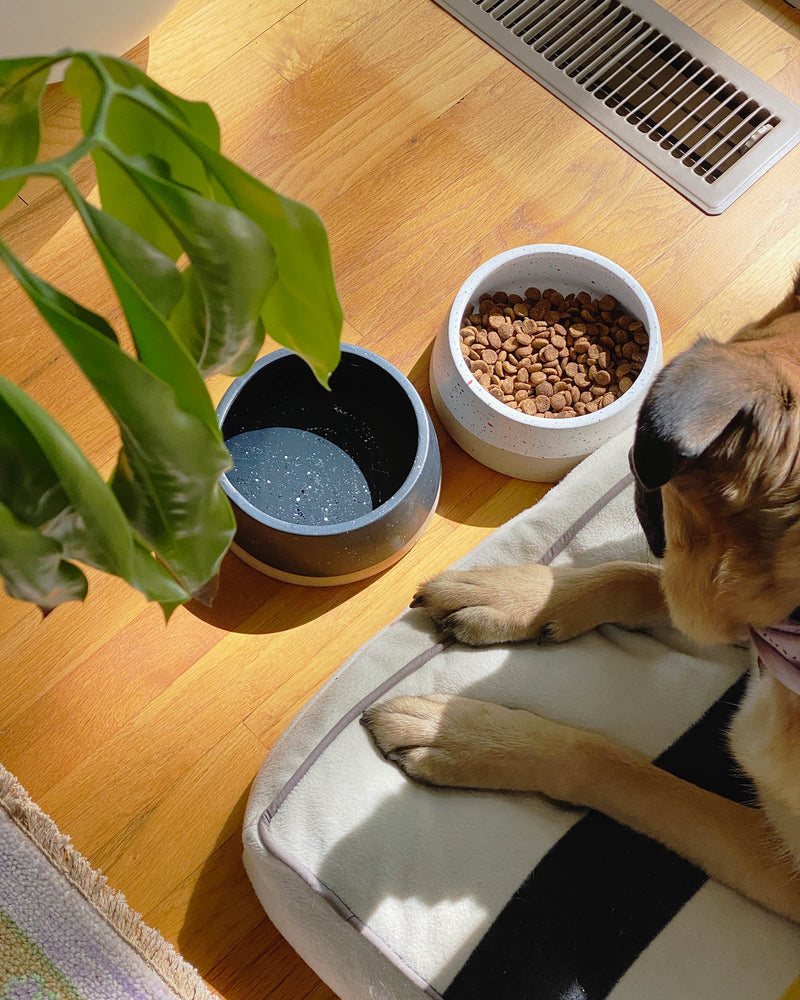 Load image into Gallery viewer, Stoneware Dog Bowl