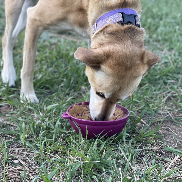 Load image into Gallery viewer, Garden of Eatin' Tipsy Bowl - Wobble Lick Mat for Dogs & Cats | USA Made