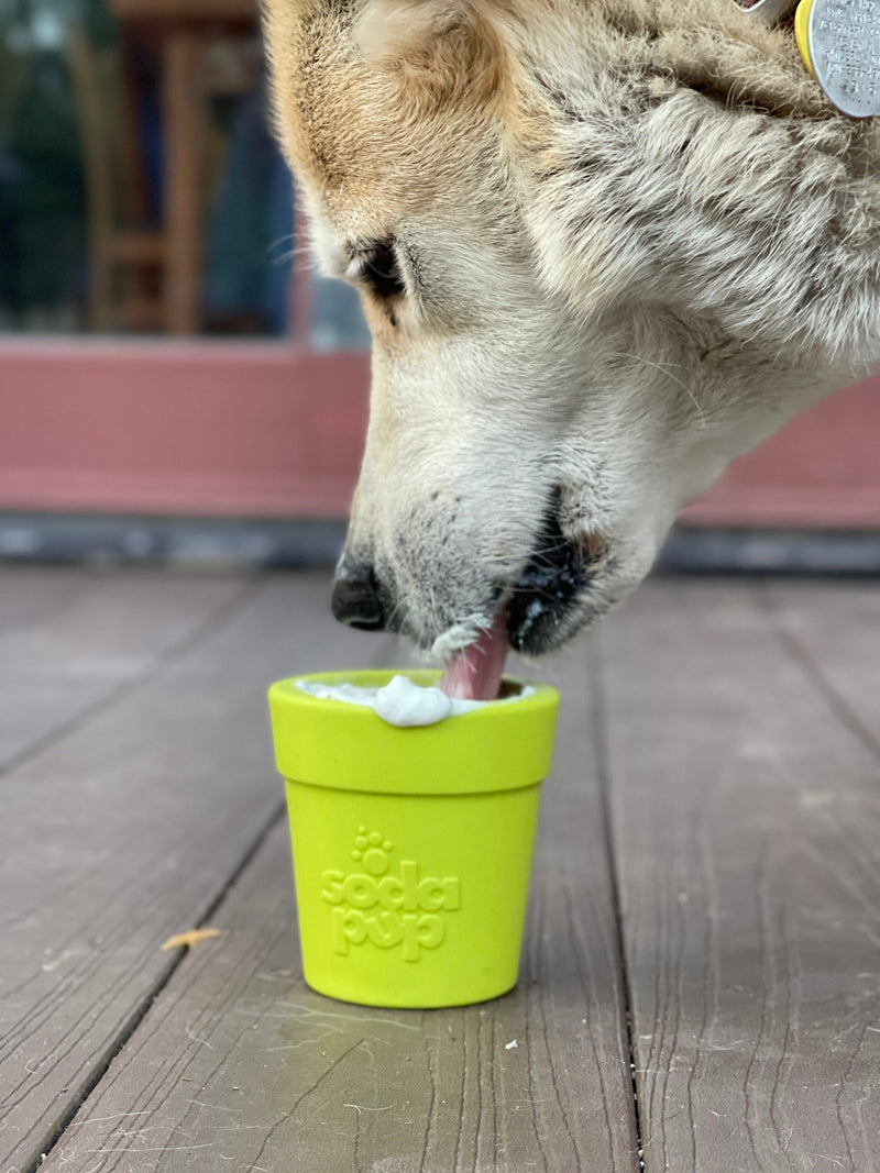 Load image into Gallery viewer, Large Flower Pot eCup Dog Treat Dispenser | Durable USA-Made Enrichment Toy | SodaPup