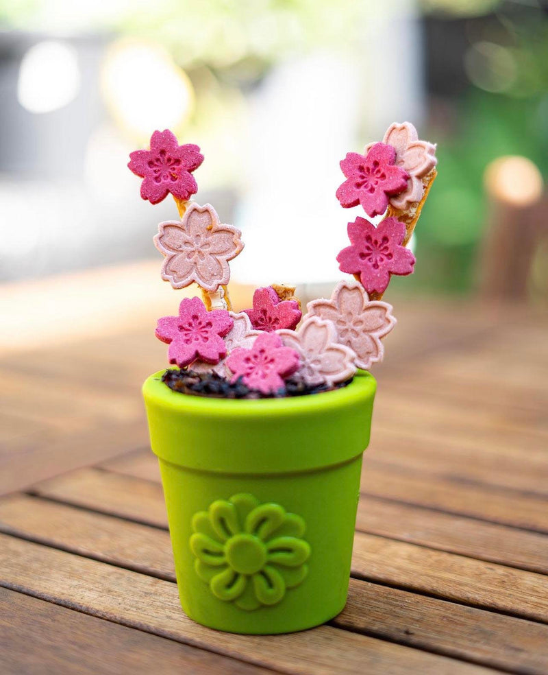 Load image into Gallery viewer, Large Flower Pot eCup Dog Treat Dispenser | Durable USA-Made Enrichment Toy | SodaPup
