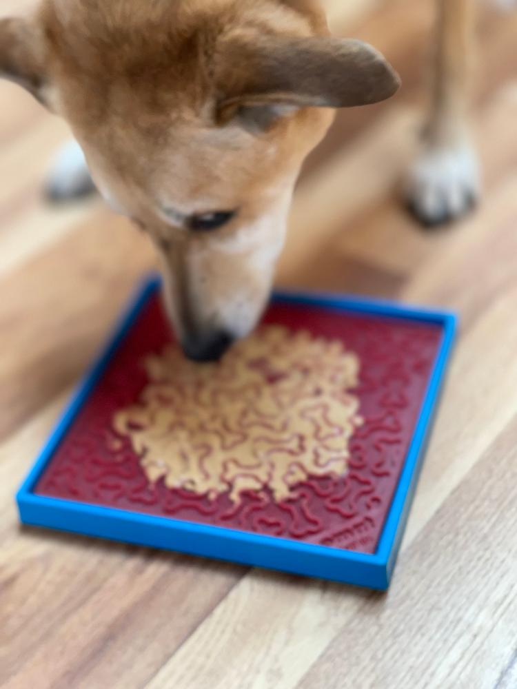 Load image into Gallery viewer, Hold 'em Suction Cup Holder for Dog Bowls & Lick Mats | USA Made
