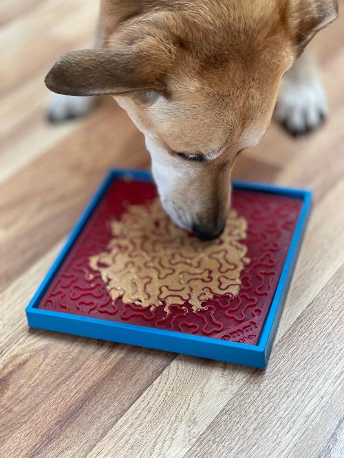 Load image into Gallery viewer, Hold 'em Suction Cup Holder for Dog Bowls & Lick Mats | USA Made
