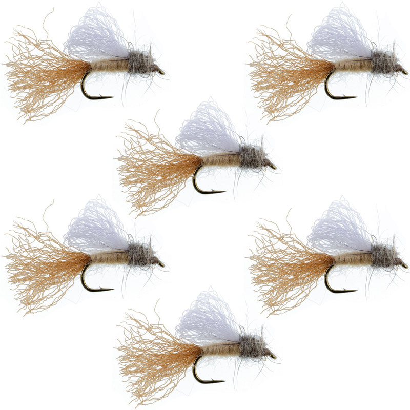 Load image into Gallery viewer, Tan Iris Caddis Emerger Caddis Trout Dry Fly - 6 Flies Hook Size 16