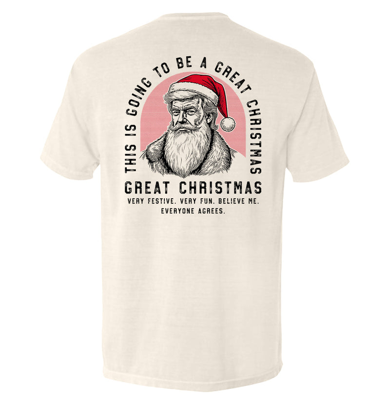 Load image into Gallery viewer, This is going to be a great Christmas