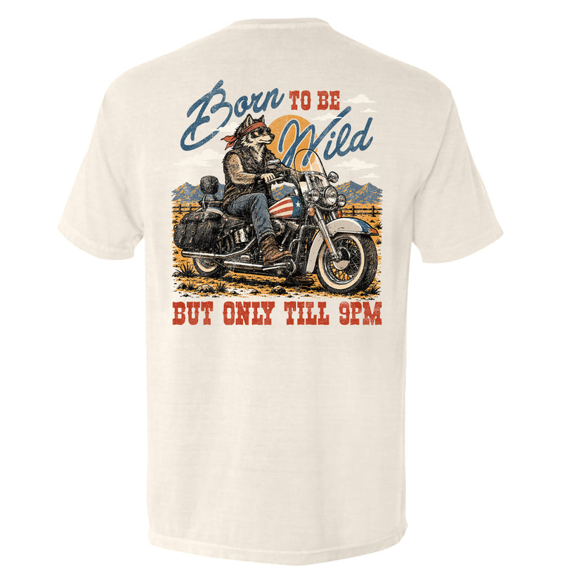 Load image into Gallery viewer, Born to be Wild
