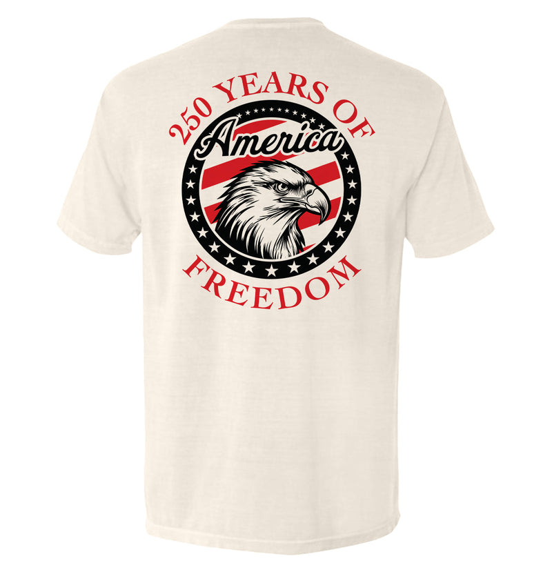 Load image into Gallery viewer, 250 Years Of Freedom Eagle Circle
