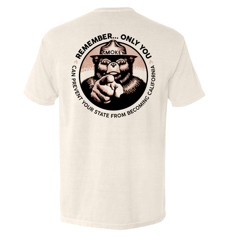 Load image into Gallery viewer, Remember Only you can prevent your state from becoming California