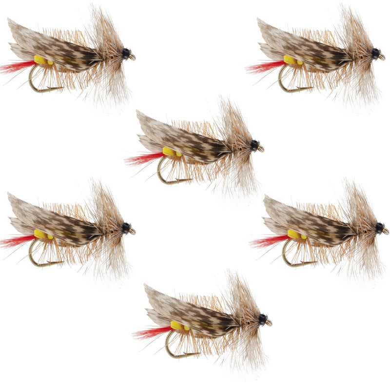 Load image into Gallery viewer, Joe's Hopper Yellow Foam Body Grasshopper Fly - 6 Flies Hook Size 8