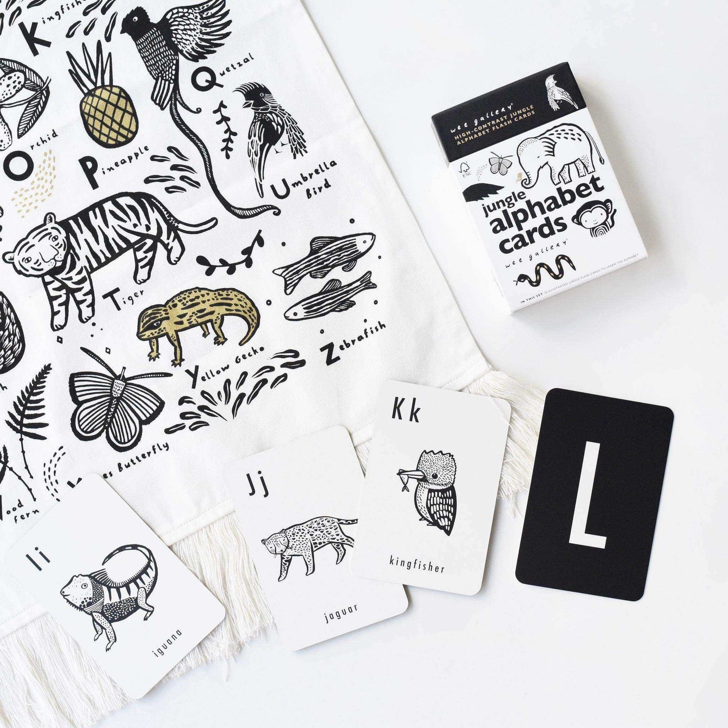 Jungle Alphabet Cards - Skoutley Outdoors LLC