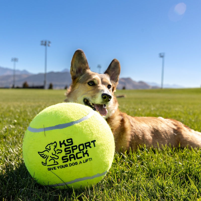 Load image into Gallery viewer, Too Big to Chew Tennis Ball