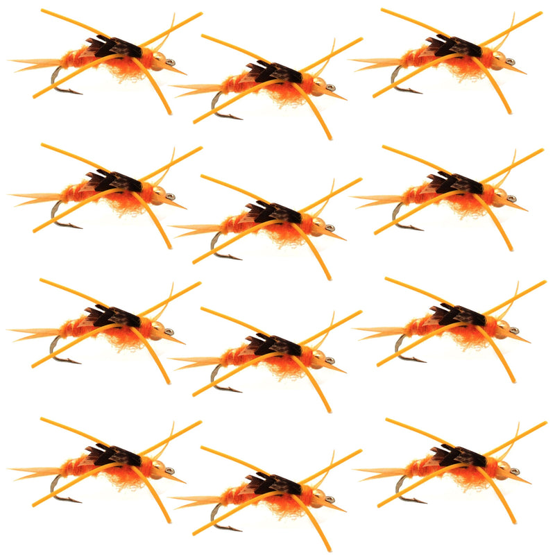 Load image into Gallery viewer, Tungsten Bead Kaufmann's Golden Stone Fly Nymph Rubber Legs - 1 Dozen Hook Size 8