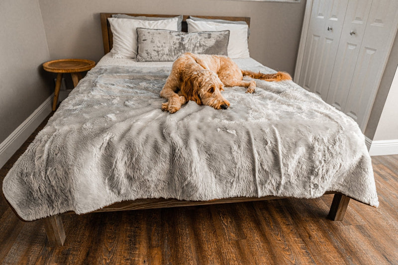 Load image into Gallery viewer, PupProtector™ Summer Short Fur Waterproof Throw Blanket - Grey