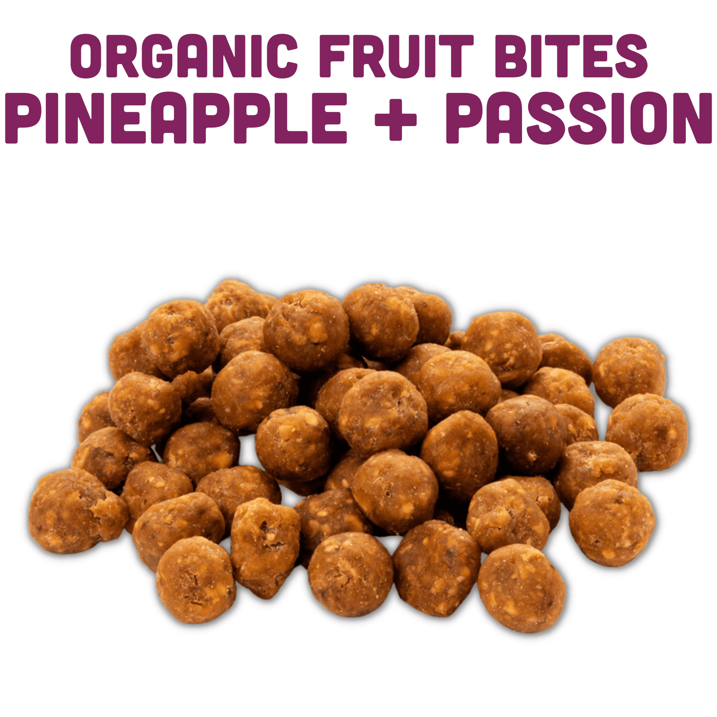 Fruit Bite Best Sellers Bundle - 24 bags - Skoutley Outdoors LLC