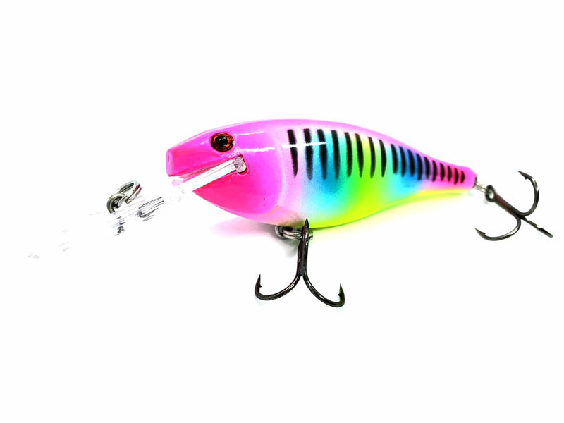 Load image into Gallery viewer, Rattlin' LIL-Super Cisco