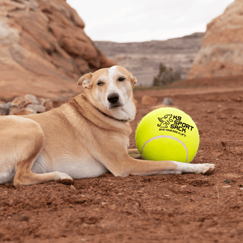Load image into Gallery viewer, Too Big to Chew Tennis Ball