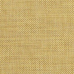 Load image into Gallery viewer, Nassimi Minetta 54" Polyester Fabric