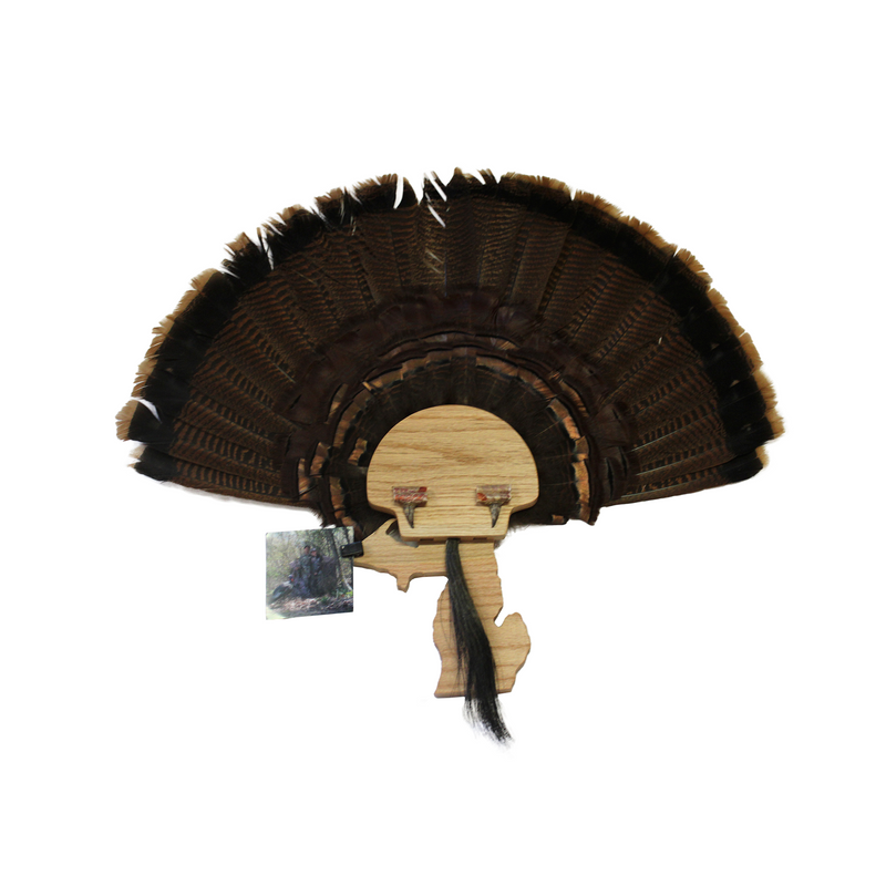 Load image into Gallery viewer, Turkey Mount Plaques with State