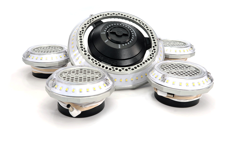 Load image into Gallery viewer, MPI - Multi-Point Illumination Motion Garage Ceiling Light
