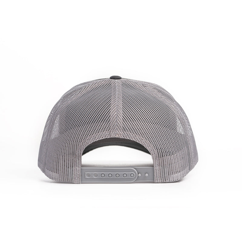 Load image into Gallery viewer, Walleye Patch Hat