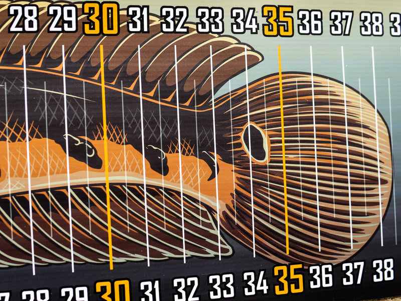 Load image into Gallery viewer, Dragon Ruler