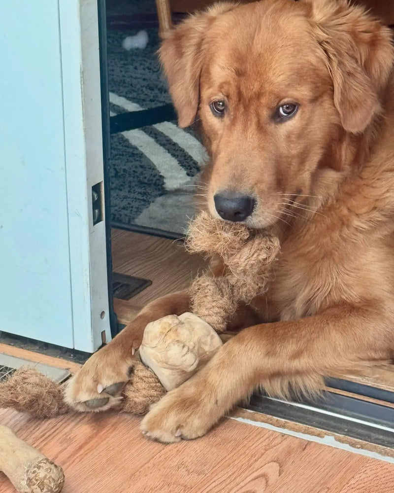 Load image into Gallery viewer, Coconut Rope & Root Chew