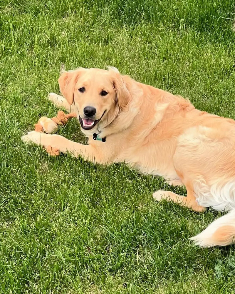 Load image into Gallery viewer, Coconut Rope & Original Chew