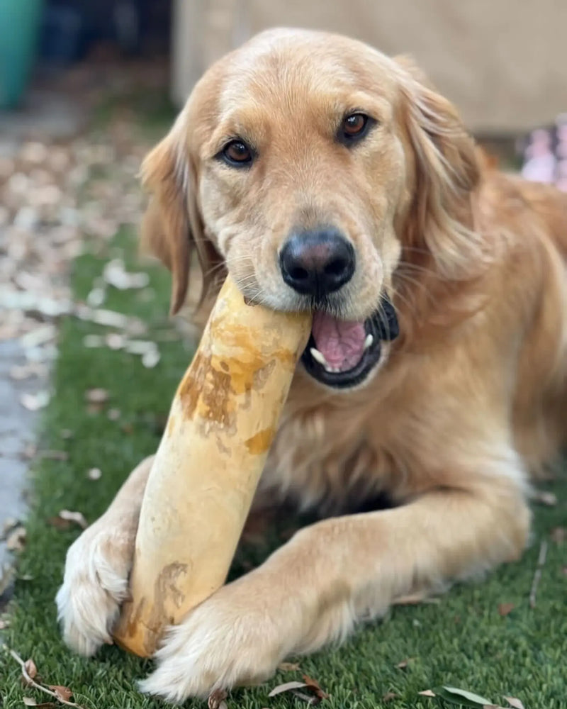 Load image into Gallery viewer, Original Chew