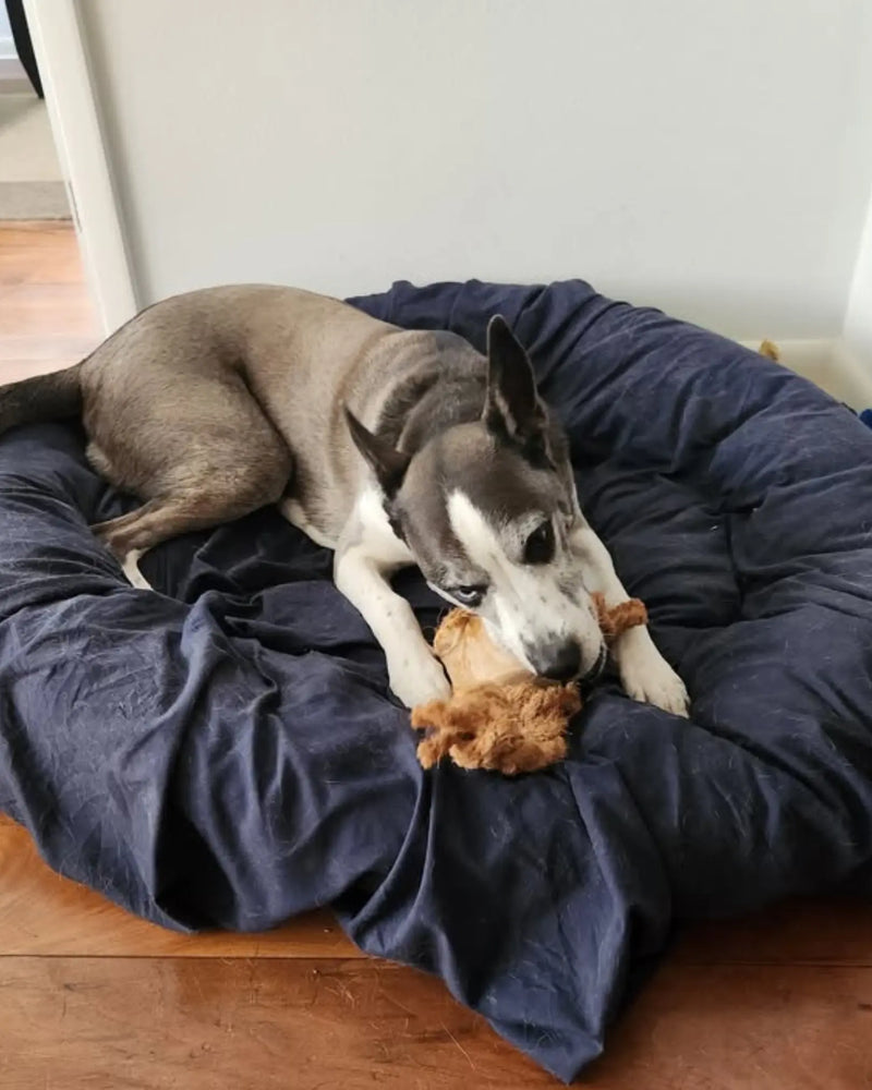 Load image into Gallery viewer, Coconut Rope & Root Chew
