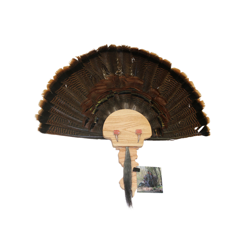 Load image into Gallery viewer, Turkey Mount Plaques with State