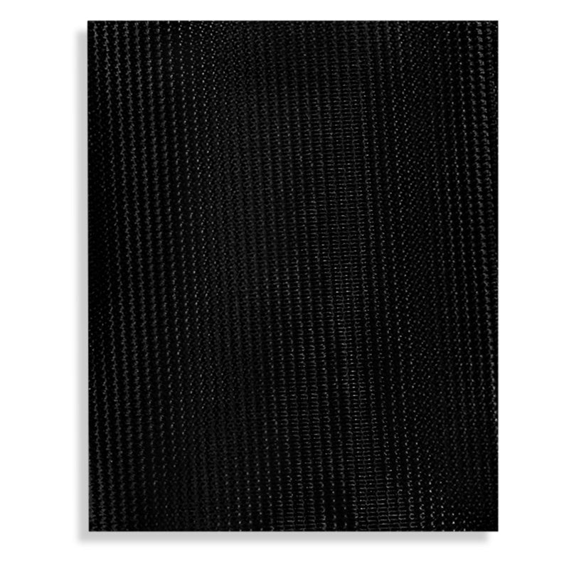 Load image into Gallery viewer, One Thing We Have In Common PVC Patch